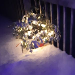 Meet your Posher, Carla